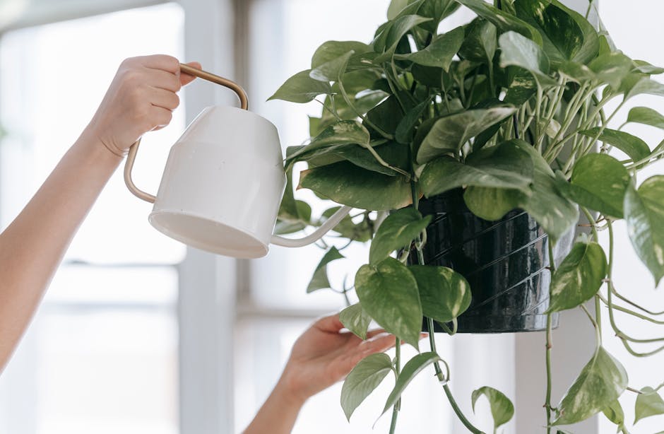 Lush indoor plants in yellow decorative pots with golden plant care markers naturally improving air quality and humidity in bright office workspace